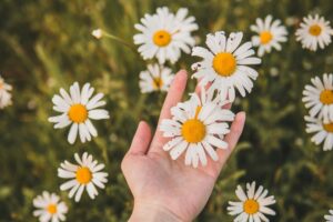 おみくじの大吉は神様からの応援メッセージ