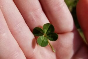 手のひらがかゆいのは宝くじ当選の前兆