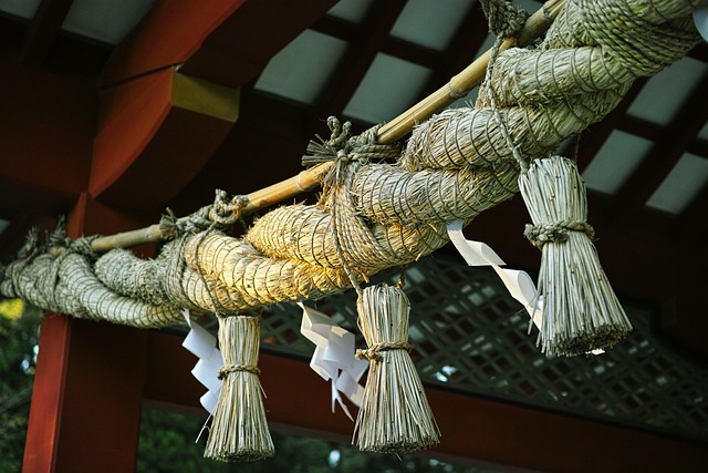 神社でカメムシ:あなたを見守ってくれている存在がいる
