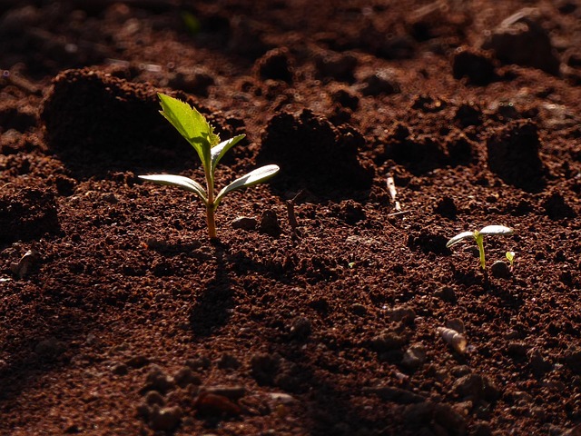 大地に直接触れる