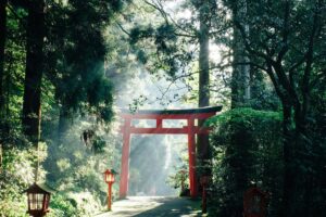 おみくじの凶は現状への警告