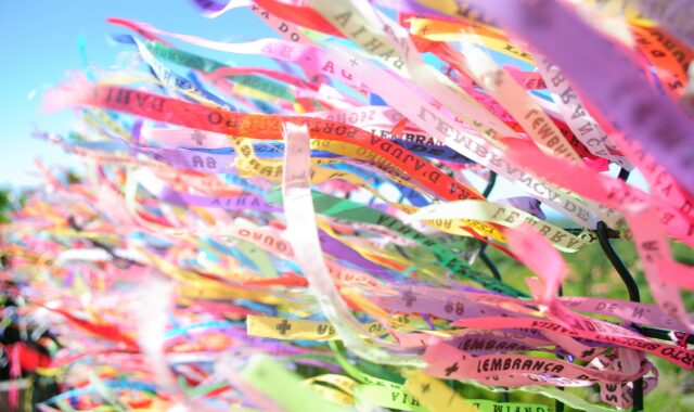 ボンフィンの正しい結び方と使い方