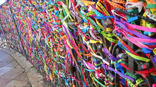 ボンフィンの主な特徴