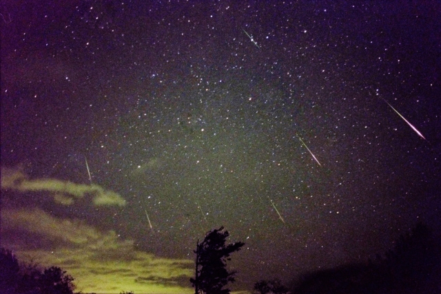 しし座の象徴「勇気」「自己表現」「リーダーシップ」