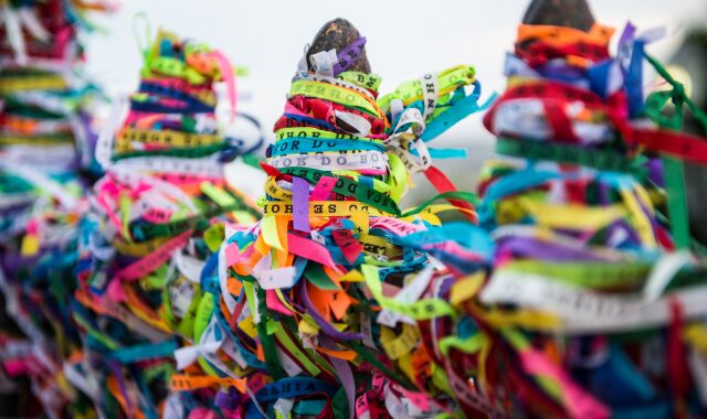 ボンフィンを活用した運気別の楽しみ方