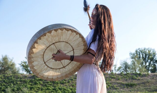 シャーマンドラムの選び方