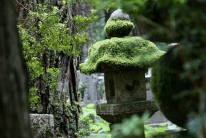 お墓の蛇は好転のサイン