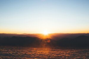 死んだ蛇は希望に満ちた未来の象徴