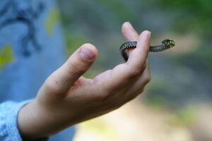 蛇を触るのは宇宙と繋がる体験