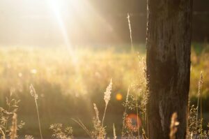 龍体文字の組み合わせ一覧表