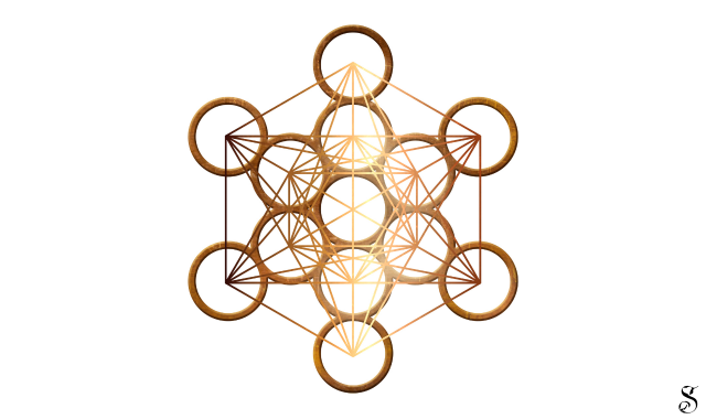 図形としての特徴