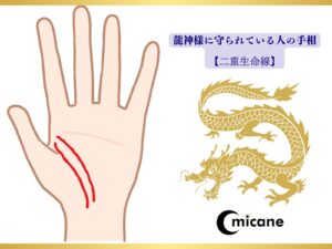 龍神様に守られている人の手相【二重生命線】