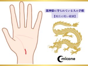 龍神様に守られている人の手相【地丘の短い縦線】
