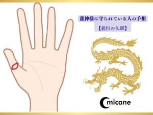 龍神様に守られている人の手相【親指の仏眼】