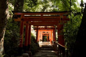 神社でケサランパサランを見る意味