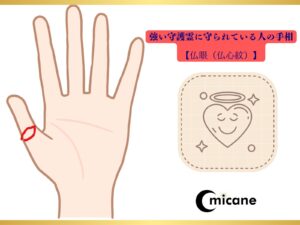 強い守護霊に守られている人の手相【仏眼(仏心紋)】