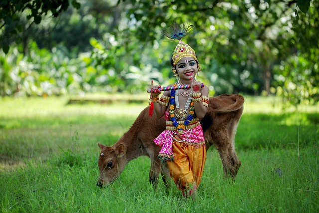 クリシュナの名前の意味と由来