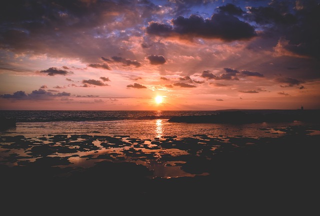 統合と自己回帰の象徴だから