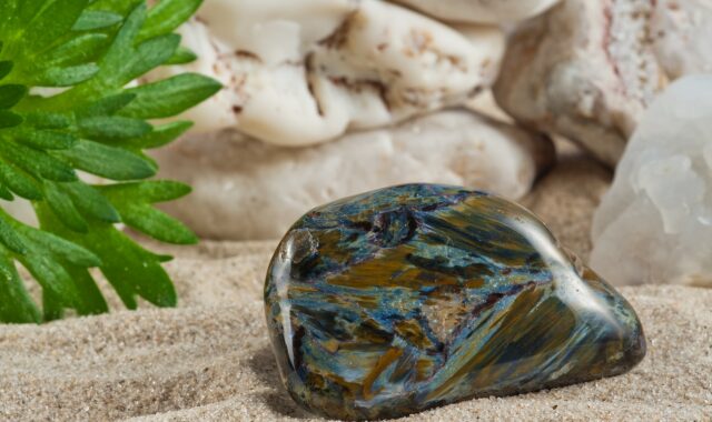 ブルーピーターサイトの特徴