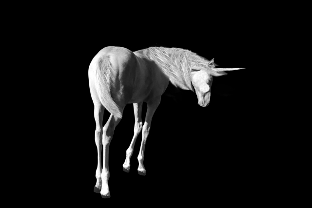 ユニコーンは恋愛成就のスピリチュアルサイン？