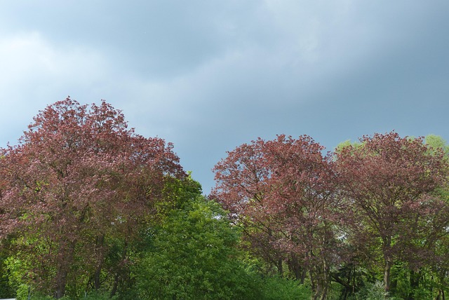 祝詞を唱える方法