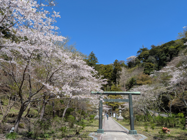 白い鳥居・黒い鳥居の意味