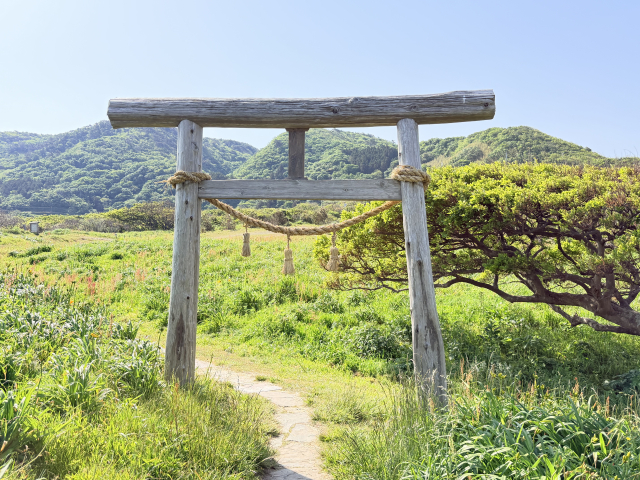 神社や歴史資料ではどう考えられているのか